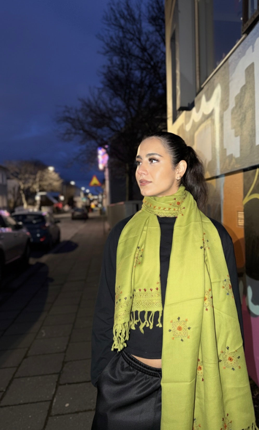 Zamin- e-Sabz Heritage Wool Scarf( Green Earth)