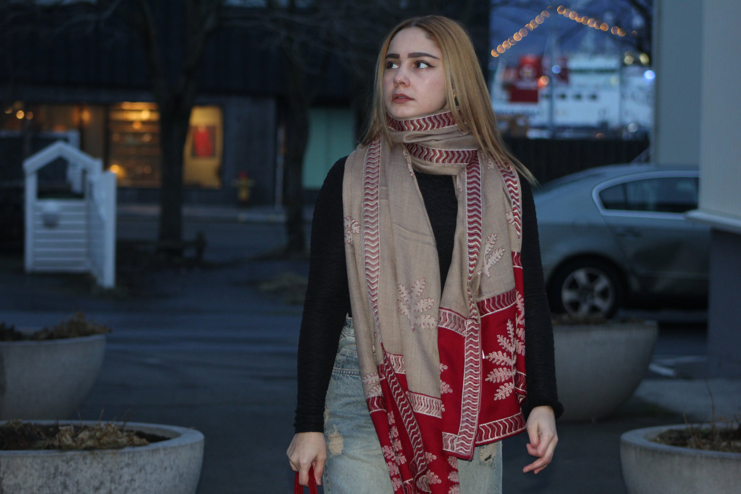 Beige & Red Embroidered Wool-Blend Shawl