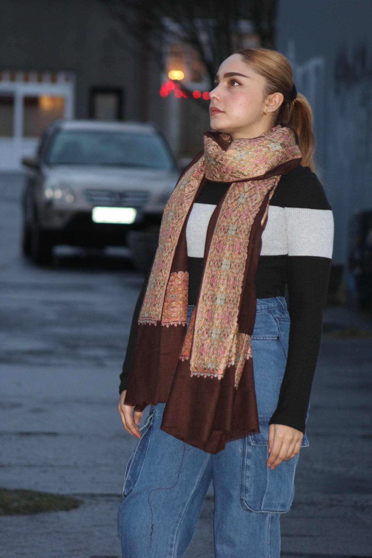 Banarasi Goat Wool Blend Shawl in Cocoa Bronze ( Signature Luxury Shawl)