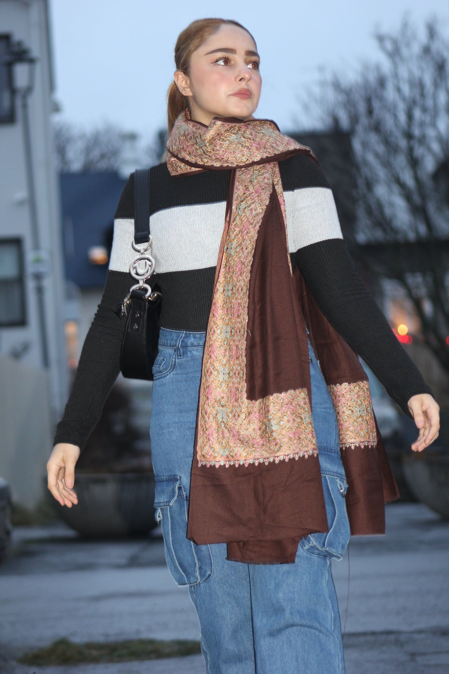 Banarasi Goat Wool Blend Shawl in Cocoa Bronze ( Signature Luxury Shawl)